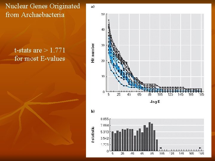 Nuclear Genes Originated from Archaebacteria t-stats are > 1. 771 for most E-values 