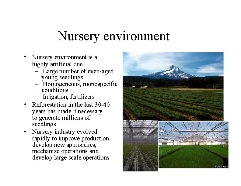 Nursery environment • Nursery environment is a highly artificial one – Large number of