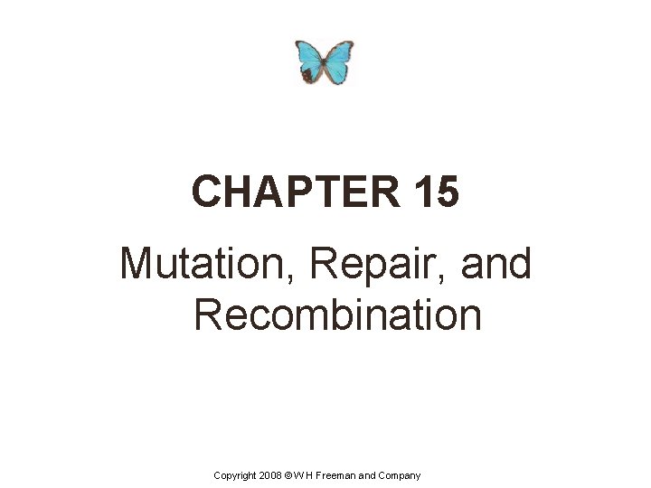 CHAPTER 15 Mutation, Repair, and Recombination Copyright 2008 © W H Freeman and Company