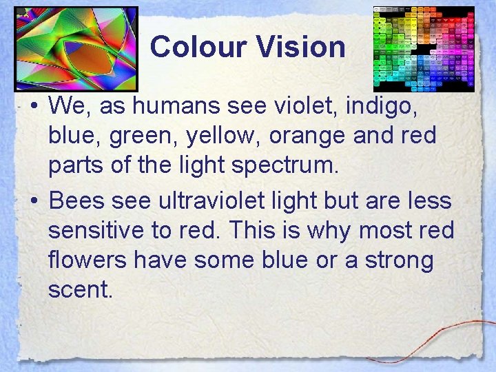 Colour Vision • We, as humans see violet, indigo, blue, green, yellow, orange and