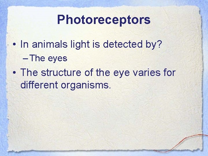 Photoreceptors • In animals light is detected by? – The eyes • The structure