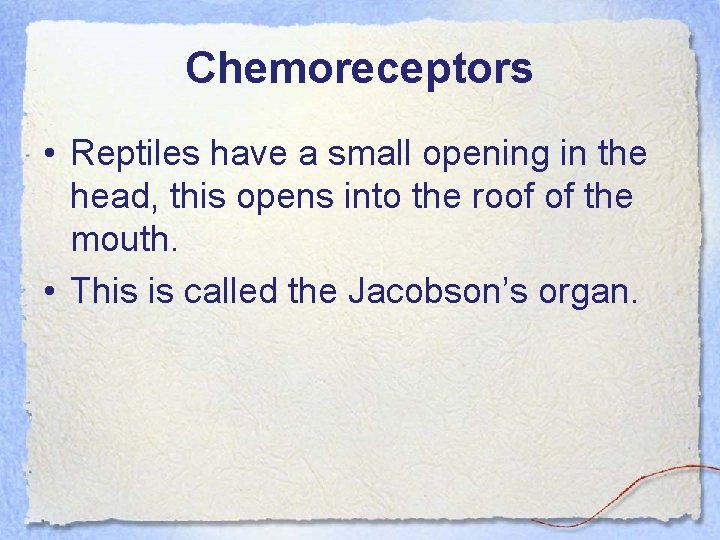 Chemoreceptors • Reptiles have a small opening in the head, this opens into the