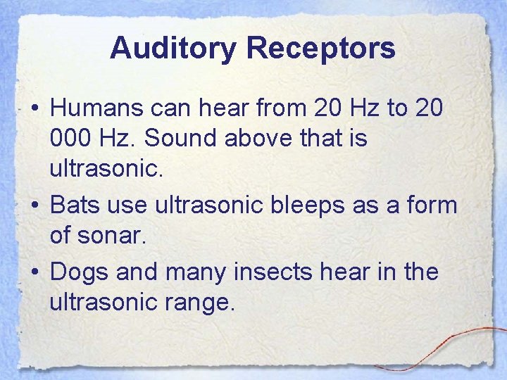 Auditory Receptors • Humans can hear from 20 Hz to 20 000 Hz. Sound