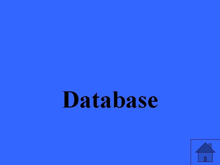 Database 