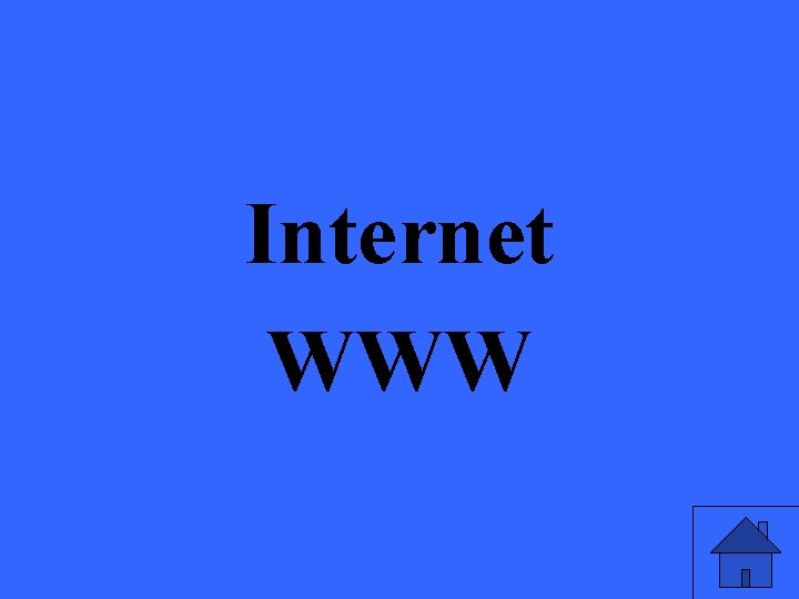 Internet WWW 
