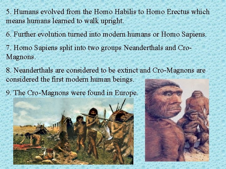 5. Humans evolved from the Homo Habilis to Homo Erectus which means humans learned