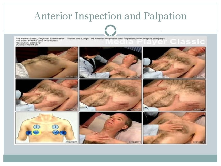 Anterior Inspection and Palpation 