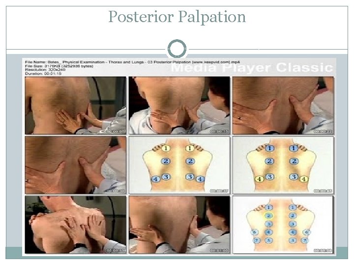 Posterior Palpation 