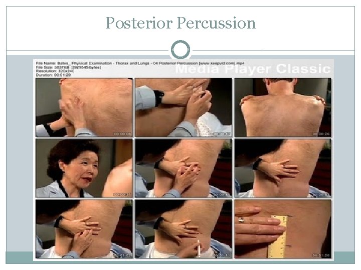 Posterior Percussion 