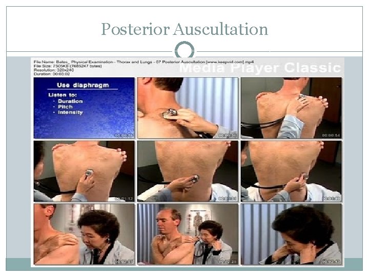 Posterior Auscultation 