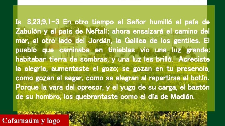 Is 8, 23; 9, 1 -3 En otro tiempo el Señor humilló el país