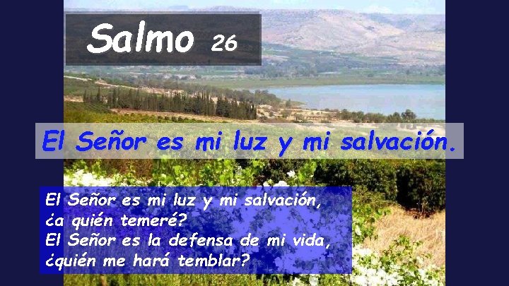 Salmo 26 El Señor es mi luz y mi salvación, ¿a quién temeré? El