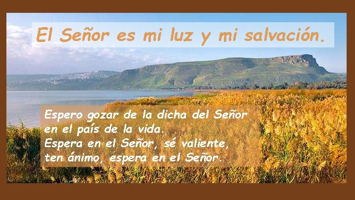 El Señor es mi luz y mi salvación. Espero gozar de la dicha del