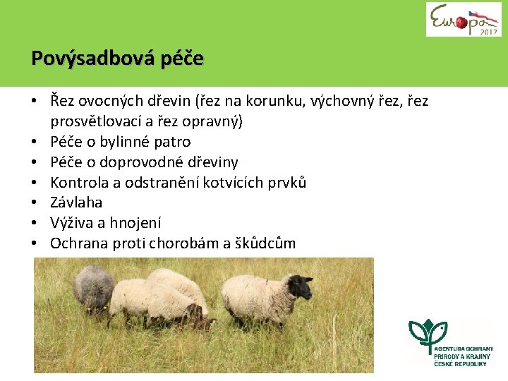 Povýsadbová péče • Řez ovocných dřevin (řez na korunku, výchovný řez, řez prosvětlovací a