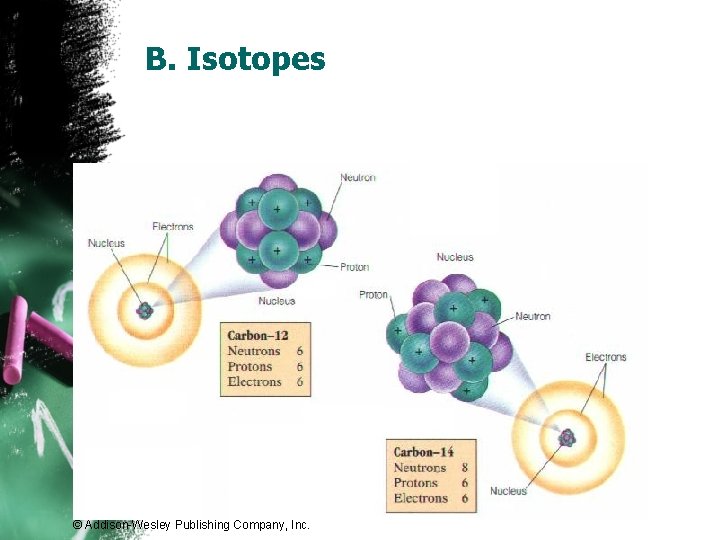 B. Isotopes © Addison-Wesley Publishing Company, Inc. 