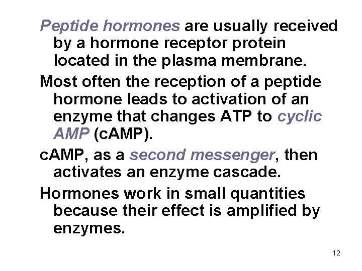 Peptide hormones are usually received by a hormone receptor protein located in the plasma