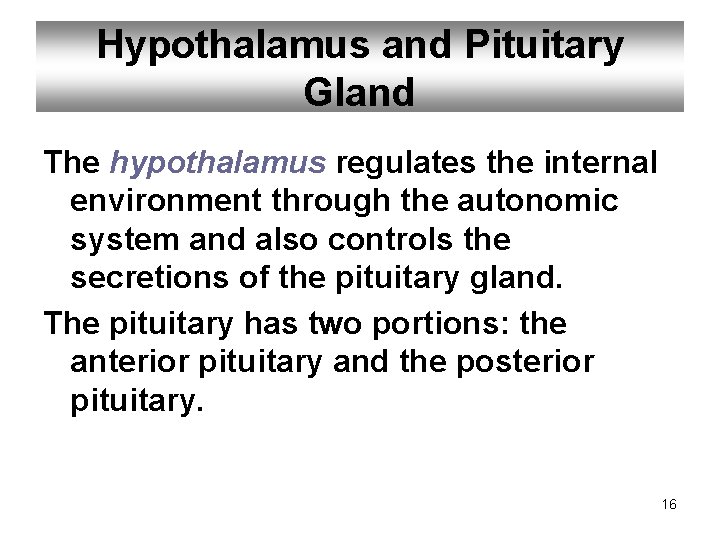 Hypothalamus and Pituitary Gland The hypothalamus regulates the internal environment through the autonomic system