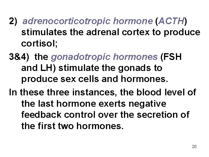 2) adrenocorticotropic hormone (ACTH) stimulates the adrenal cortex to produce cortisol; 3&4) the gonadotropic