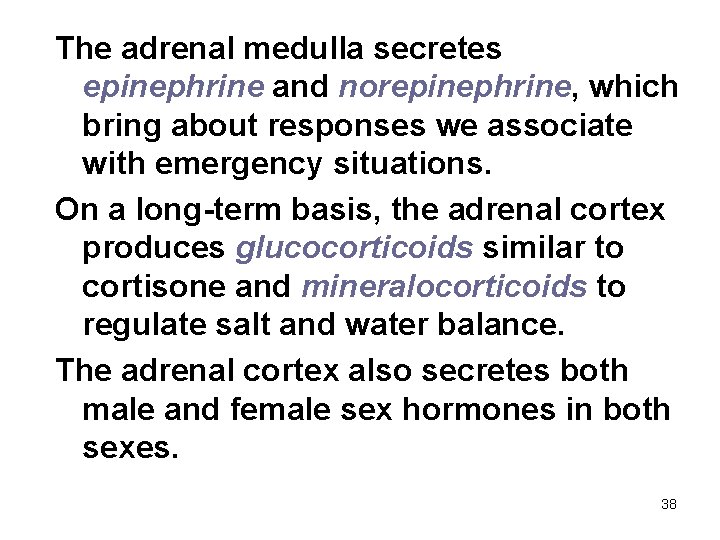 The adrenal medulla secretes epinephrine and norepinephrine, which bring about responses we associate with
