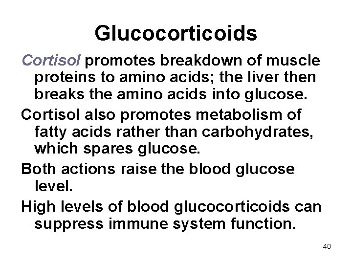 Glucocorticoids Cortisol promotes breakdown of muscle proteins to amino acids; the liver then breaks