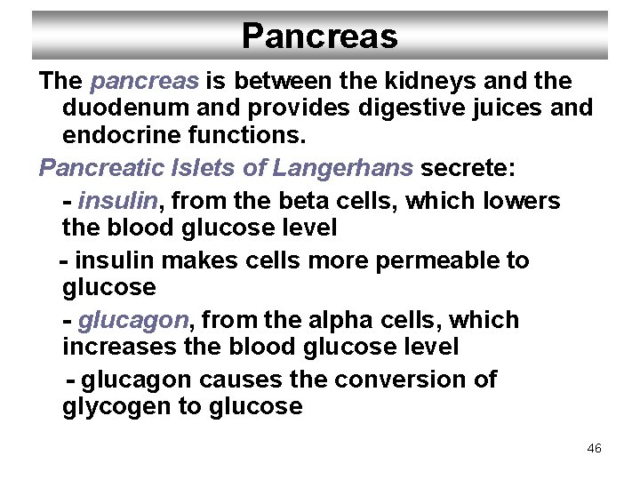 Pancreas The pancreas is between the kidneys and the duodenum and provides digestive juices