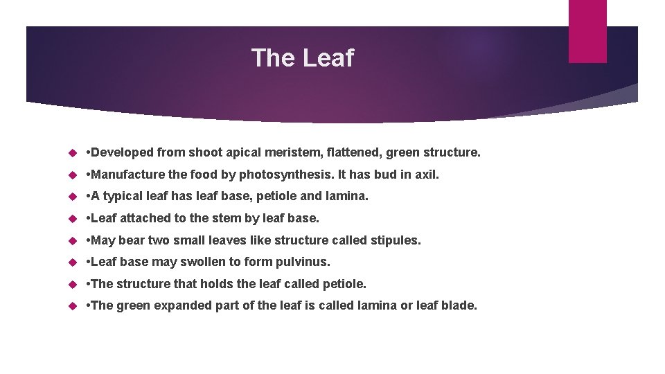 The Leaf • Developed from shoot apical meristem, flattened, green structure. • Manufacture the