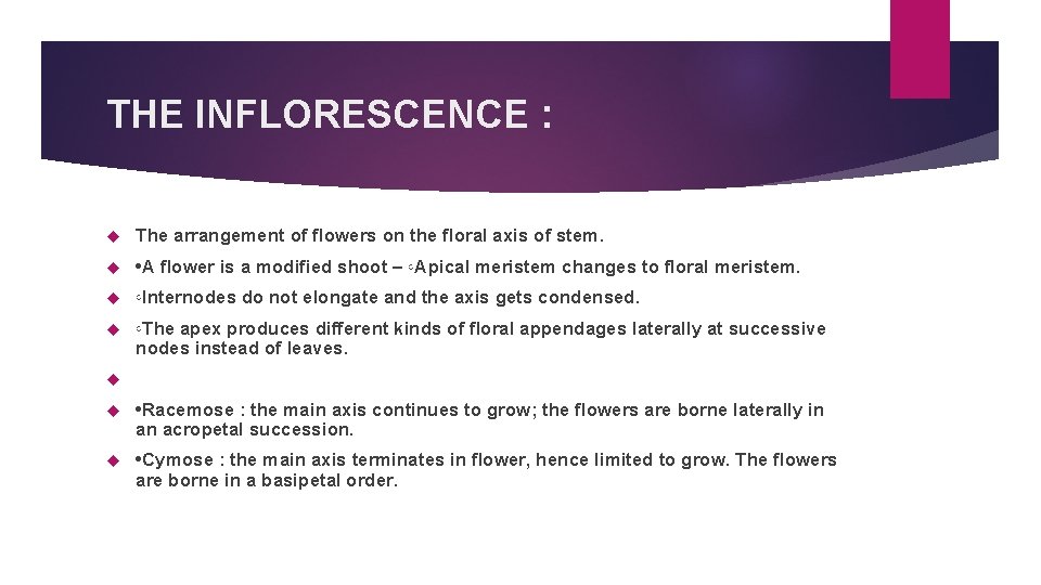 THE INFLORESCENCE : The arrangement of flowers on the floral axis of stem. •