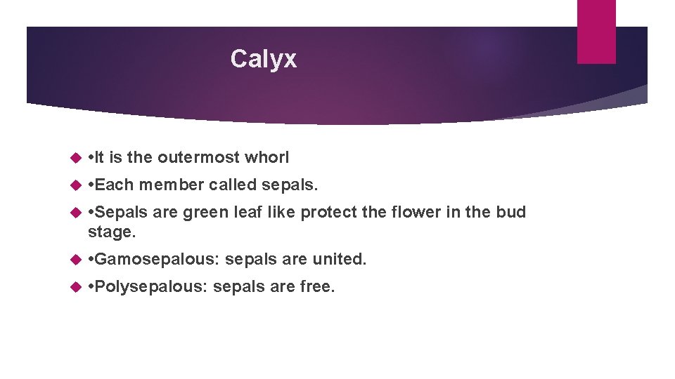 Calyx • It is the outermost whorl • Each member called sepals. • Sepals
