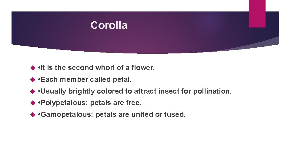 Corolla • It is the second whorl of a flower. • Each member called