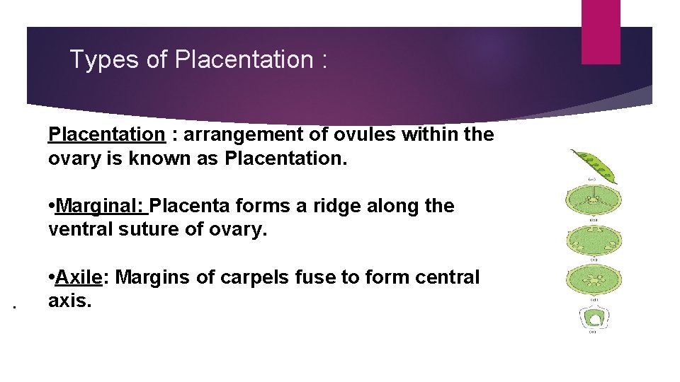 Types of Placentation : arrangement of ovules within the ovary is known as Placentation.