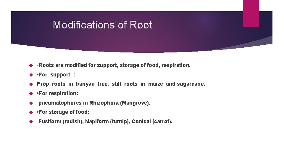 Modifications of Root • Roots are modified for support, storage of food, respiration. •