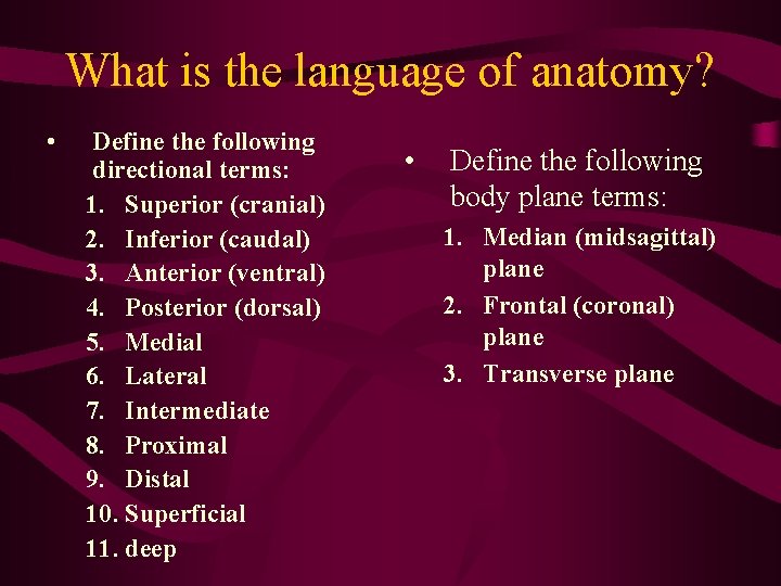 Directional Language Body The Human Body Orientation Introduction What is anatomy