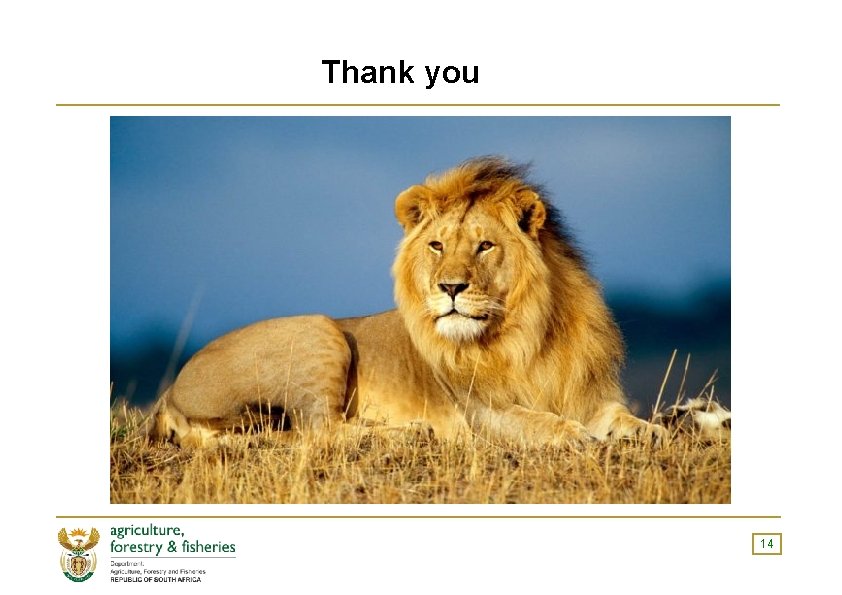 Thank you 14 