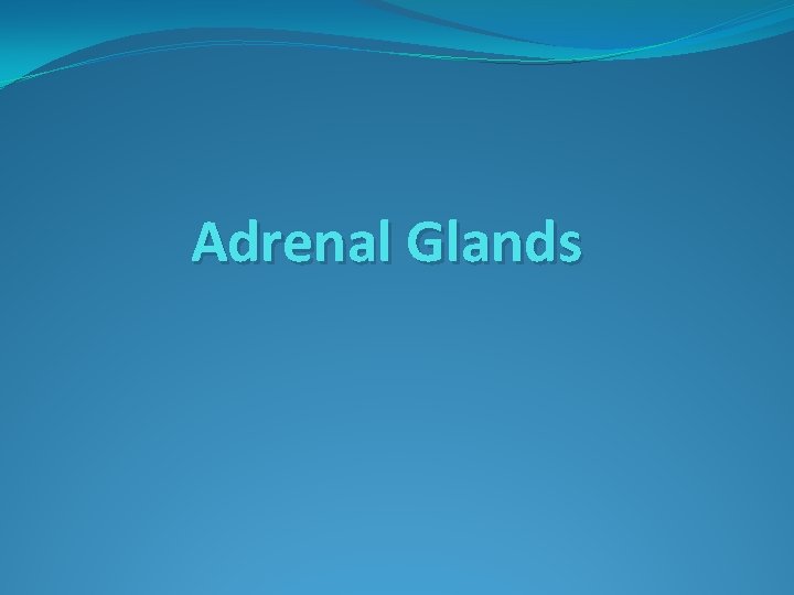 Adrenal Glands 