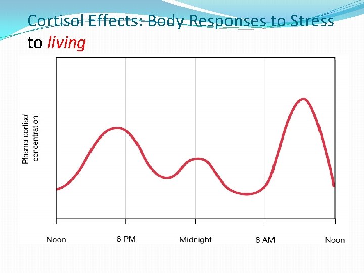 Cortisol Effects: Body Responses to Stress to living 