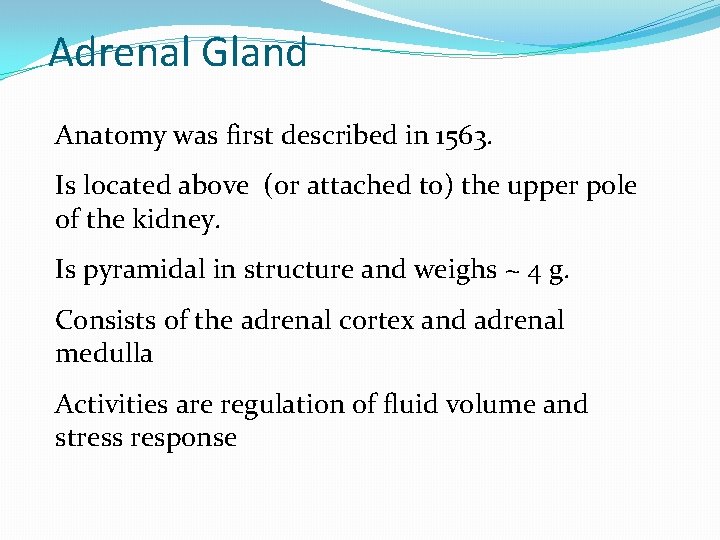 Adrenal Gland Anatomy was first described in 1563. Is located above (or attached to)