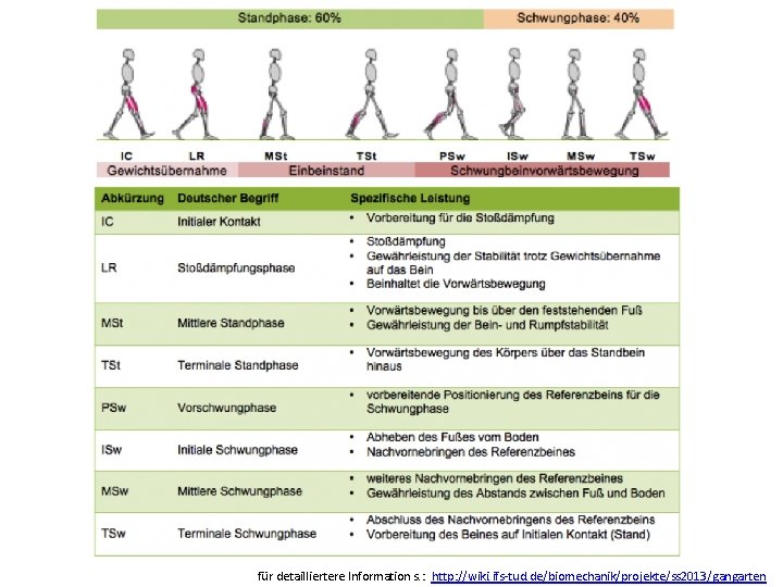 für detailliertere Information s. : http: //wiki. ifs-tud. de/biomechanik/projekte/ss 2013/gangarten 