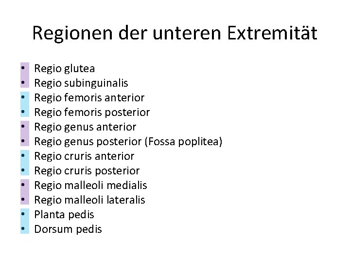 Regionen der unteren Extremität • • • Regio glutea Regio subinguinalis Regio femoris anterior