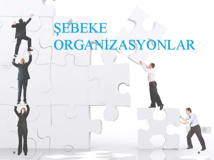 ŞEBEKE ORGANİZASYONLAR 