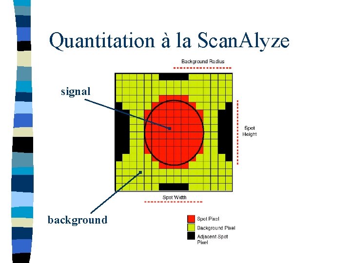 Quantitation à la Scan. Alyze signal background 