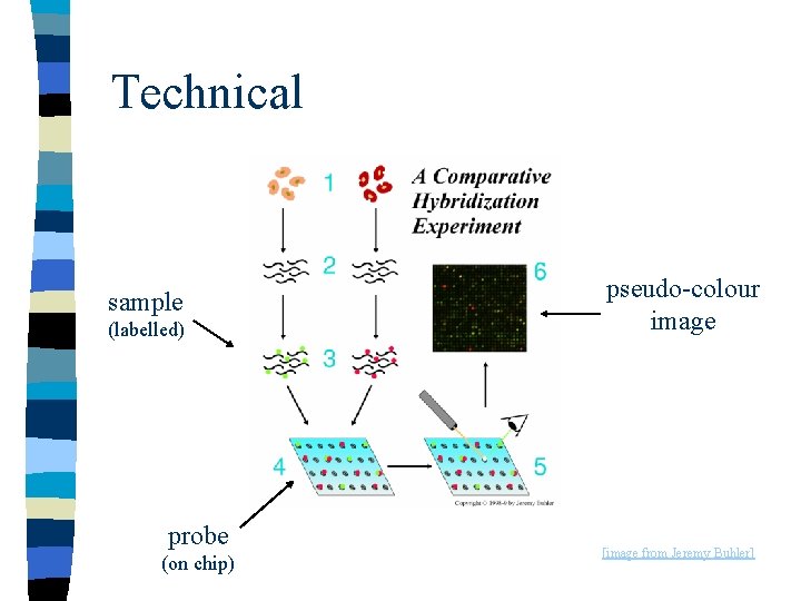 Technical sample (labelled) probe (on chip) pseudo-colour image [image from Jeremy Buhler] 