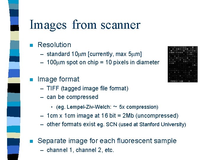 Images from scanner n Resolution – standard 10 m [currently, max 5 m] –