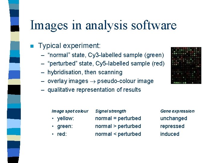 Images in analysis software n Typical experiment: – – – “normal” state, Cy 3