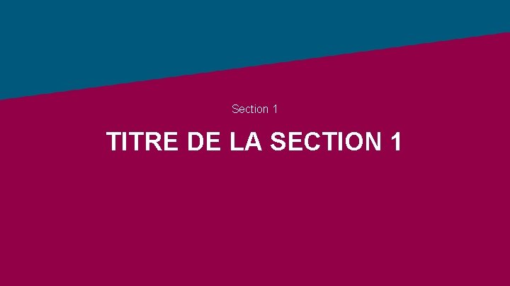 Section 1 TITRE DE LA SECTION 1 
