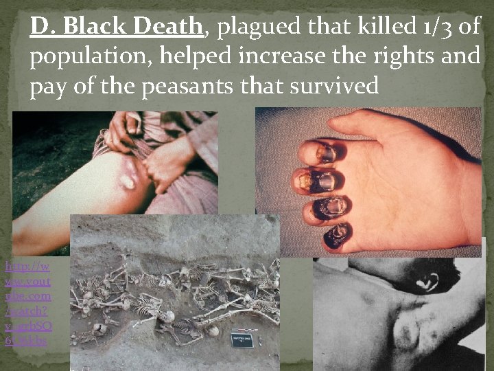 D. Black Death, plagued that killed 1/3 of population, helped increase the rights and