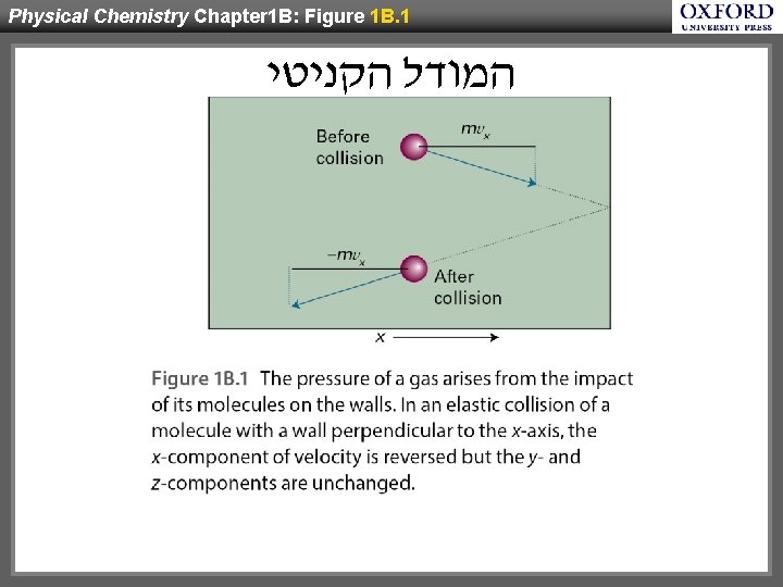 Physical Chemistry Chapter 1 B: Figure 1 B. 1 המודל הקניטי 
