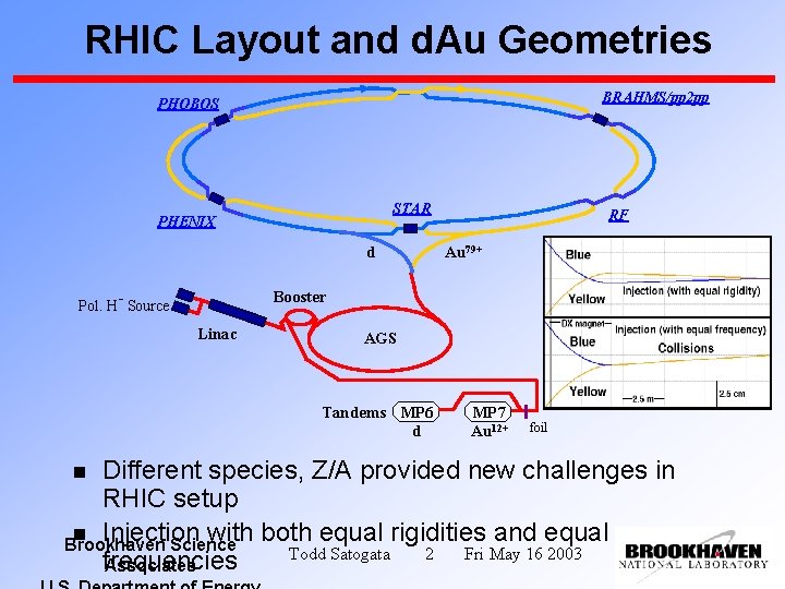 RHIC Layout and d. Au Geometries BRAHMS/pp 2 pp PHOBOS STAR PHENIX d RF