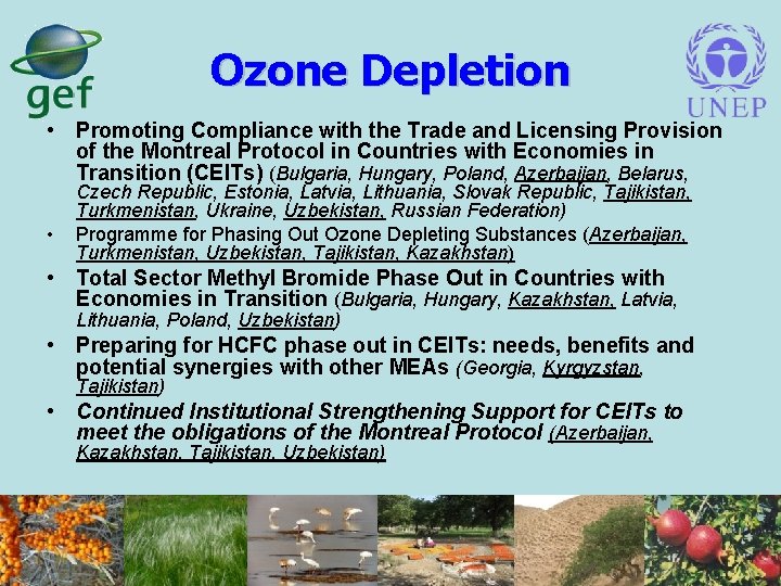 Ozone Depletion • Promoting Compliance with the Trade and Licensing Provision of the Montreal