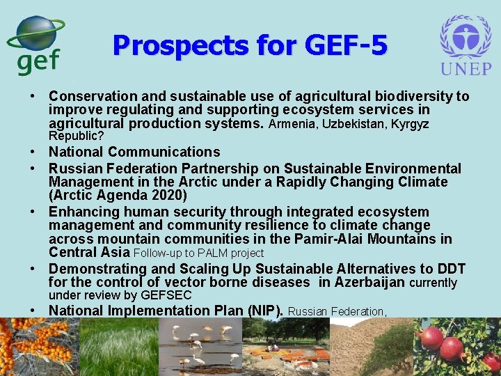 Prospects for GEF-5 • Conservation and sustainable use of agricultural biodiversity to improve regulating