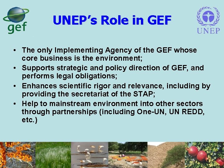 UNEP’s Role in GEF • The only Implementing Agency of the GEF whose core